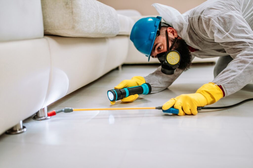 Fresno Termite Control