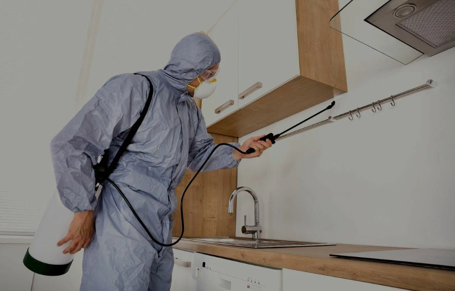 Fresno pest managment